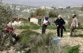 مستعمرون يهاجمون المواطنين في بيتا جنوب نابلس
